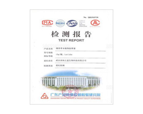 檢測報告