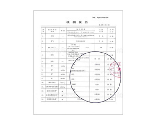 檢驗報告